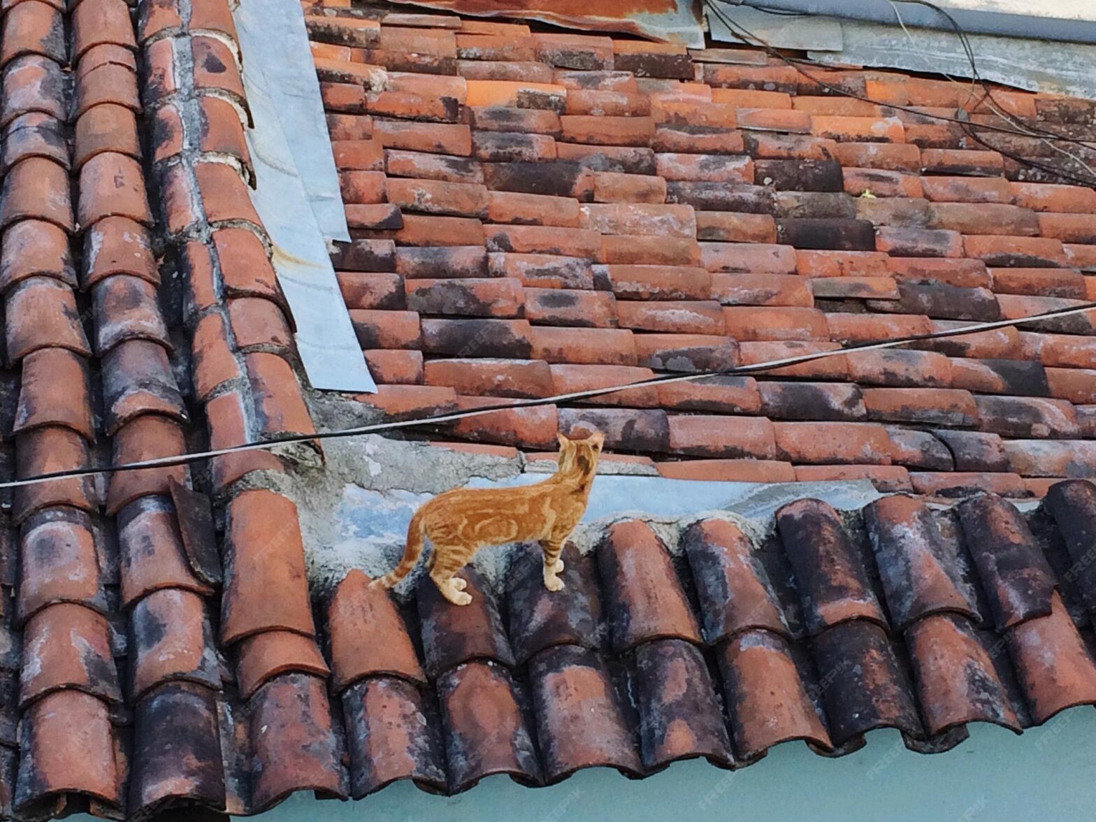 London Roof Repairs Guide